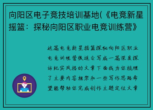 向阳区电子竞技培训基地(《电竞新星摇篮：探秘向阳区职业电竞训练营》》)